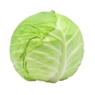 Cabbage